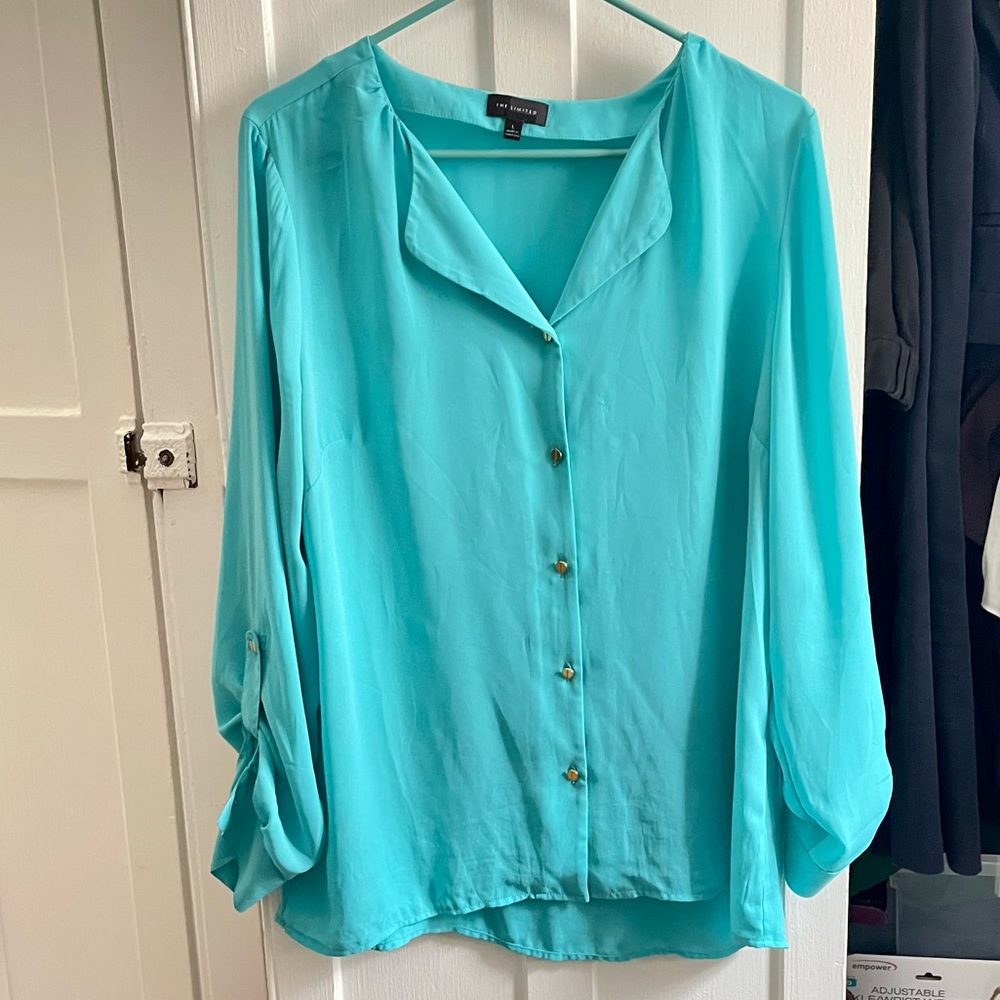 The Limited button down blouse - Picture 10 of 11